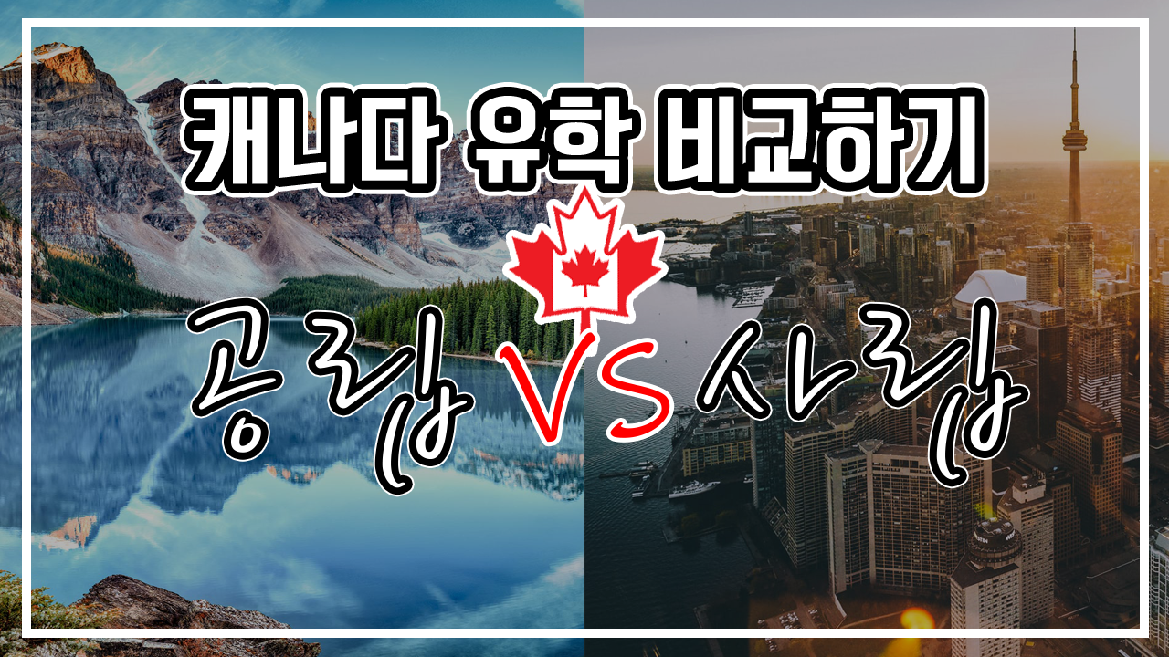 캐나다 조기유학, 공립 vs 사립