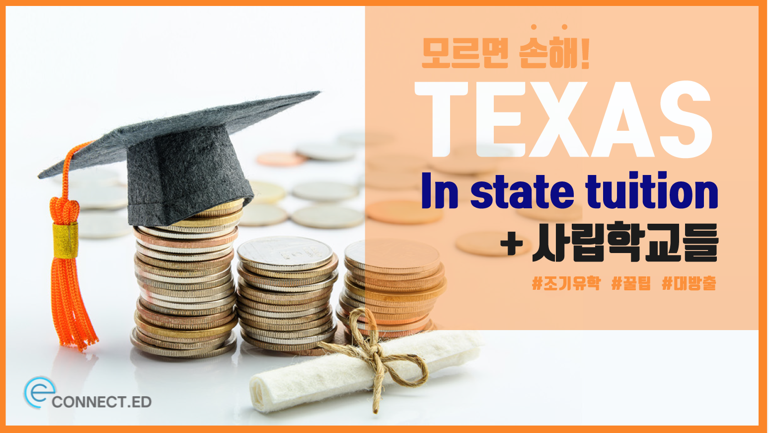 텍사스 인스테이트(In State) 학비에 대해 + 추천 사립학교