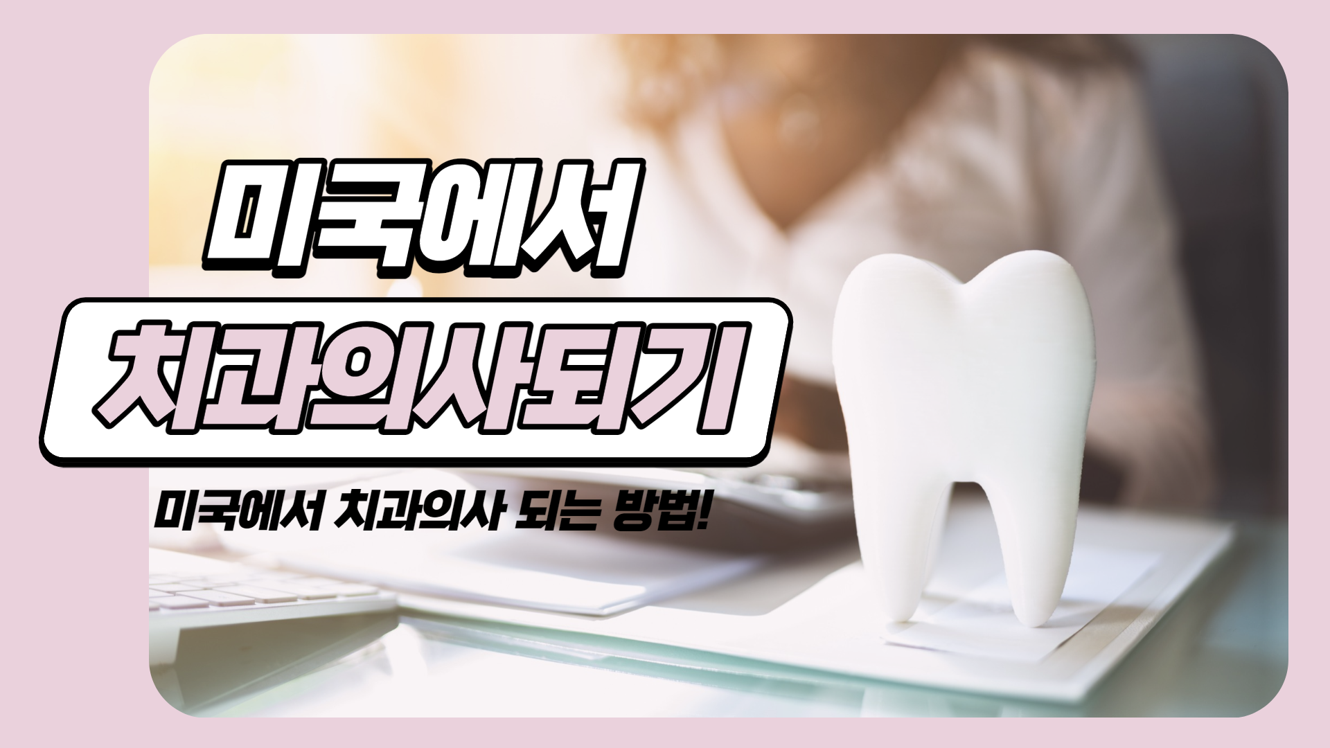 [미국치대] 미국에서 치과의사 되기
