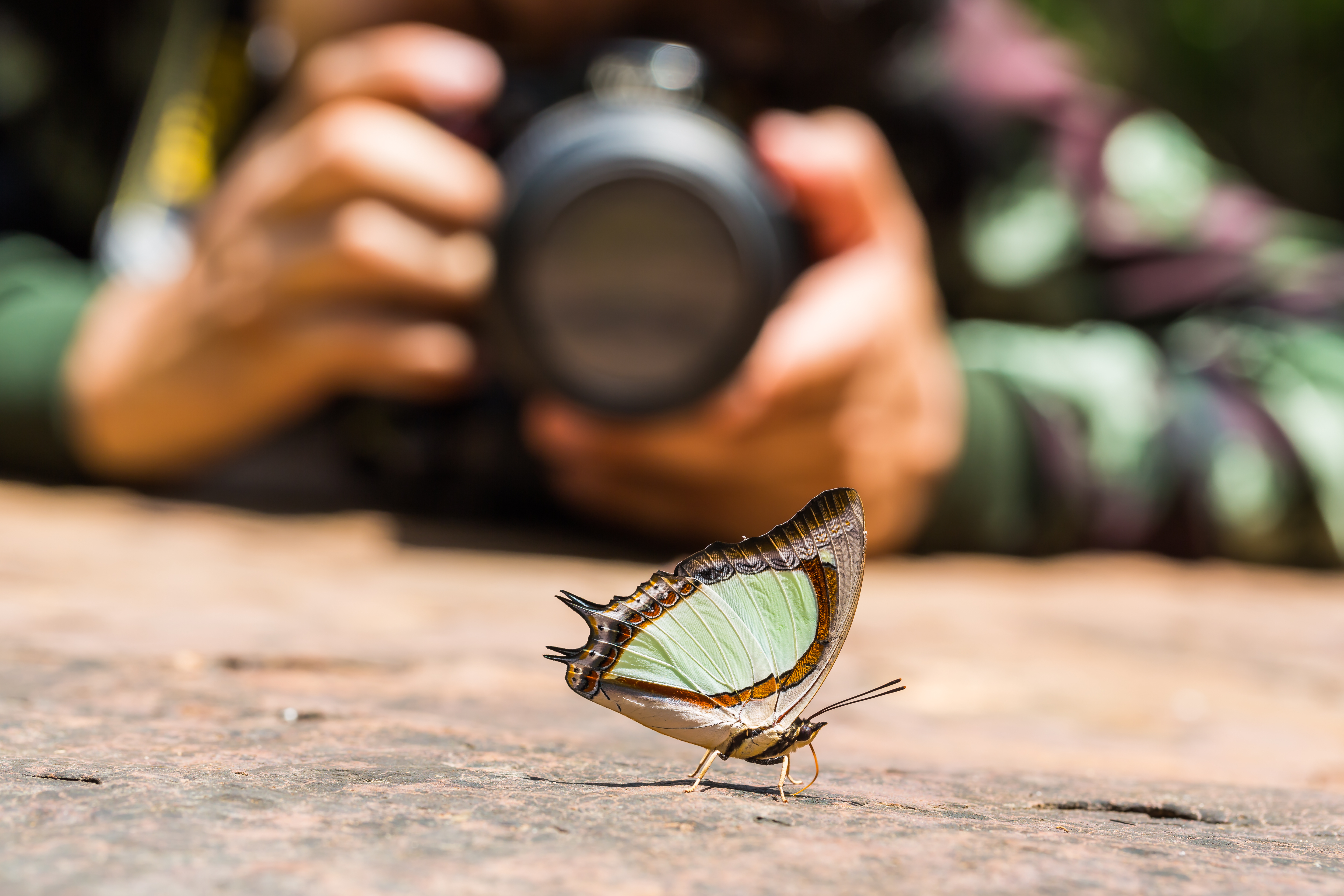 [경시대회] Biology Photography Competition