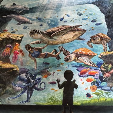 [경시대회] River of Words Youth International Poetry and Art Contest