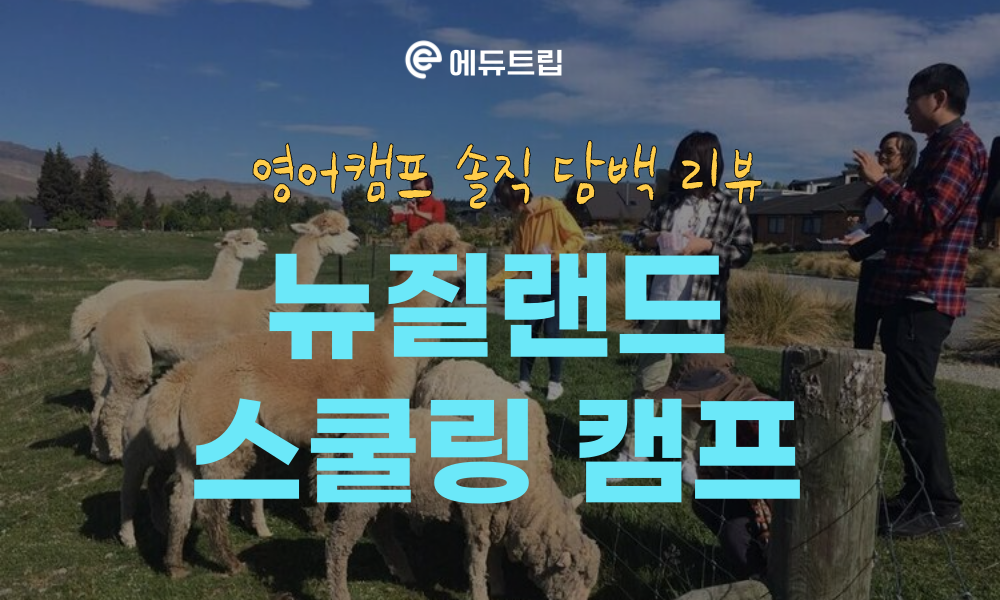 [영어캠프후기] 영어 캠프 참가 아이들의 생생한 캠프 이야기 (캠프 후기)