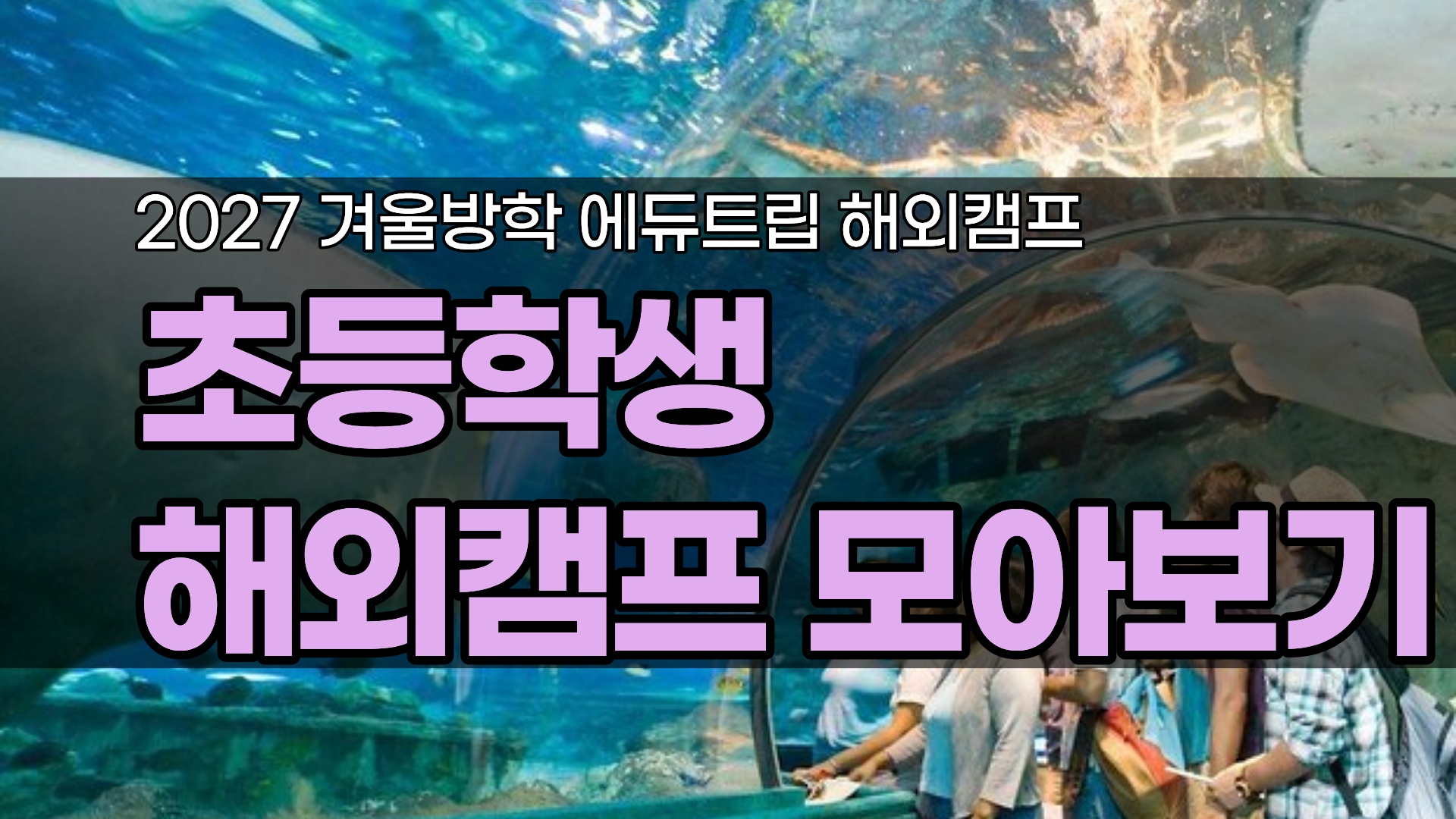 초등학생 혼자 가는 영어캠프, 어디가 좋을까? 해외 영어캠프 비교